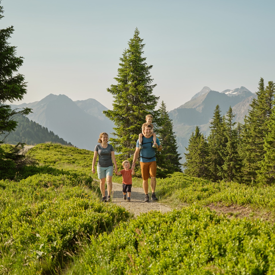 Wandergebiet Planai © Peter Burgstaller